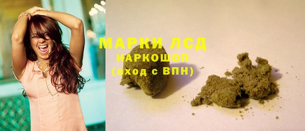 шишки Абинск