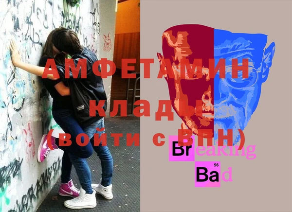 крисы Алзамай