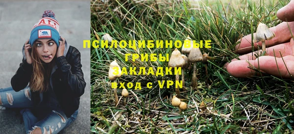 крисы Алзамай
