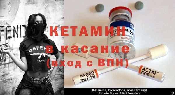 шишки Абинск