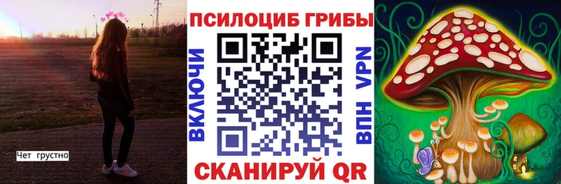 Псилоцибиновые грибы GOLDEN TEACHER  где купить наркотик  Задонск 